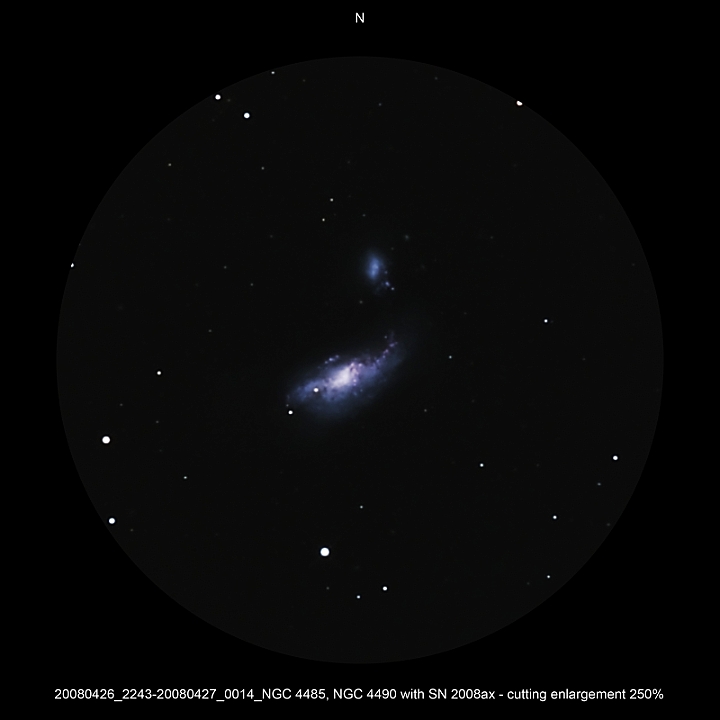 20080426_2243-20080427_0014_NGC 4485, NGC 4490 with SN 2008ax_04 - cutting enlargement 250pc.JPG -  CVn Newton d 309,5 / af 1623 & Coma Corrector CANON-EOS5D (AFC-Filter) 800 ASA no add. filter 8 light-frames 360s, auto dark, 3 flat, 10 bias Guidemaster, DSS, Canon-RAW-Image, Adobe-PS-CS3 SN2008AX  